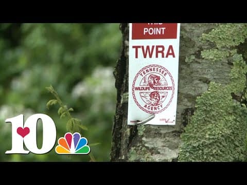 TWRA asking for information regarding bull elk poached in Anderson County