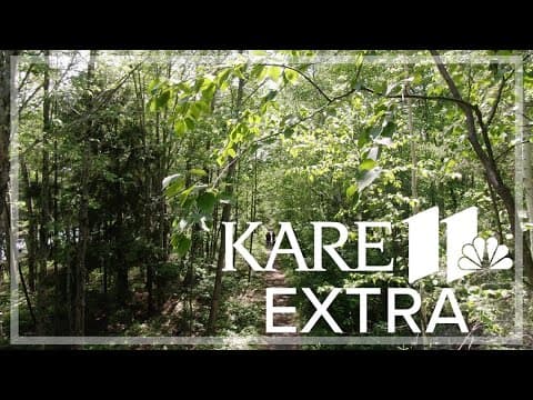 KARE 11's Julie Nelson, Belinda Jensen try Japanese practice of 'forest bathing'
