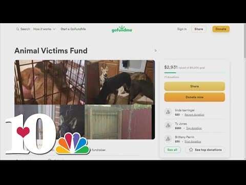 Fund started for YWAC after animal abuse case