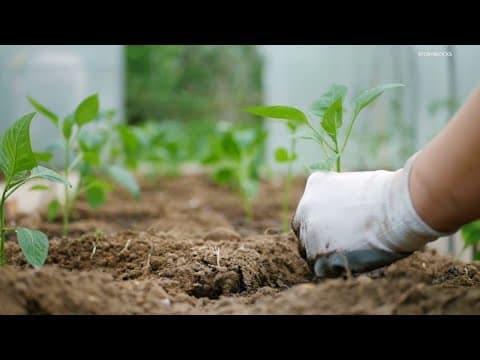 Earth Day Every Day | Getting down in the dirt