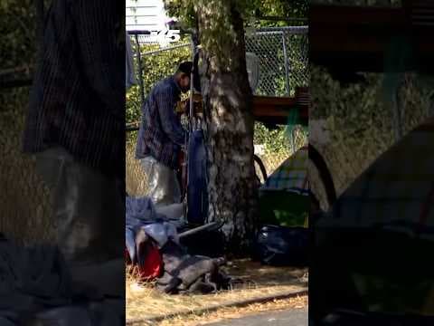 Seattle closes 3 parks due to drug use, crime