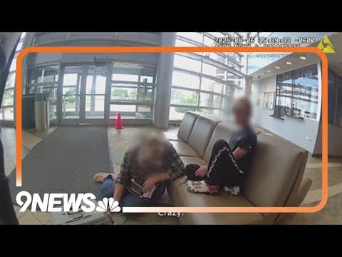 Missing cat makes it back to owner after 6 years