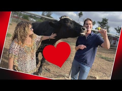 Small animal sanctuary offers a safe haven for unwanted farm animals