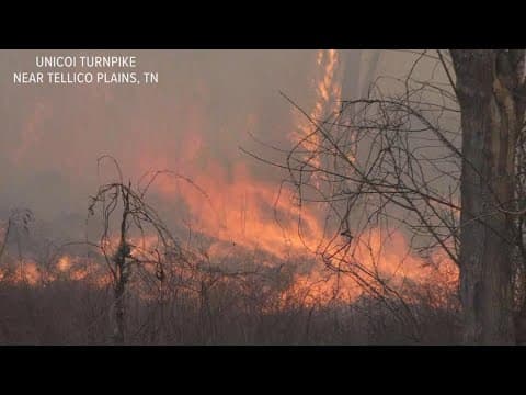 Teams battle 2 wildfires burning near Tellico Plains in Monroe County