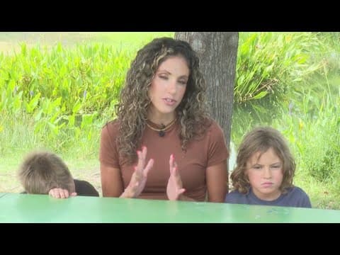Octopus clings to boy’s arm at San Antonio Aquarium, mom shares video