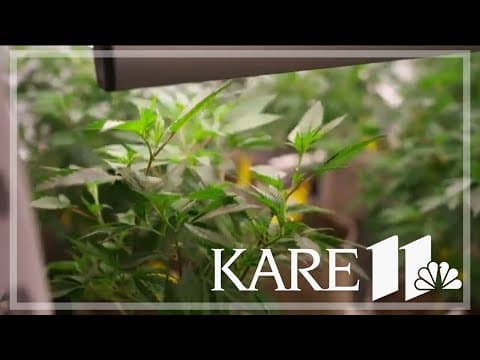 Inside look at new cannabis campus hear Hastings Minnesota
