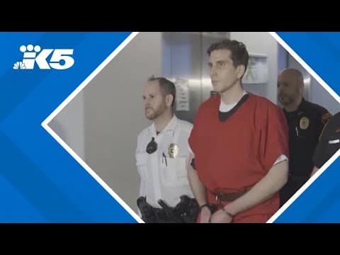 Plea deal in Kohberger trial: What does it mean?