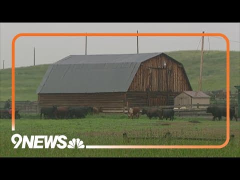 Montana organization helps ranchers keep their herds safe from wolves