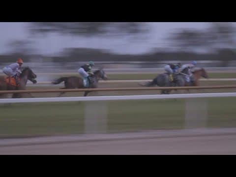 Florida bill could end live racing at Tampa Bay Downs and Gulfstream Park