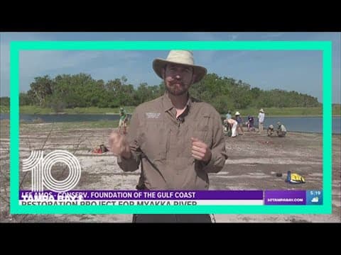 Restoration project for Myakka River