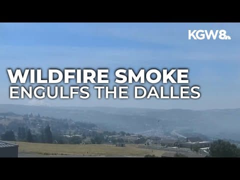 Timelapse footage of wildfire outbreak near The Dalles