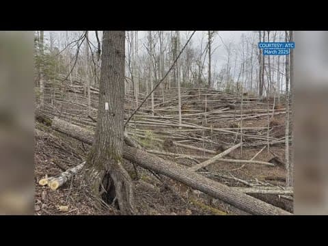 Appalachian Trail restoration underway following damage from Helene