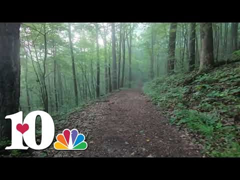 10Explores: Andrews Ridge Trail at Norris Dam State Park