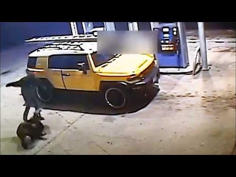 Video shows suspect rob man as he was pumping gas in southeast Houston