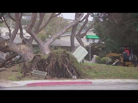 San Diego hit with 12th atmospheric river | Downed trees, Mission Valley flooding