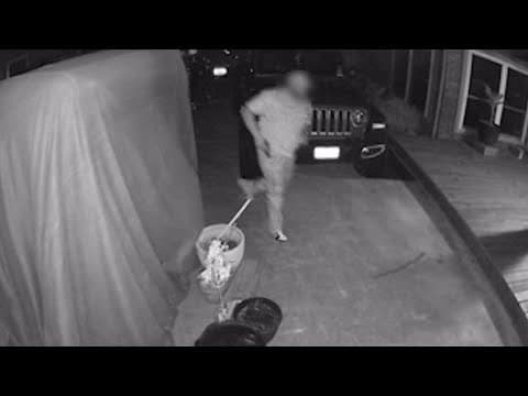 Woman ambushed, killed in driveway after night out with friends, HCSO says