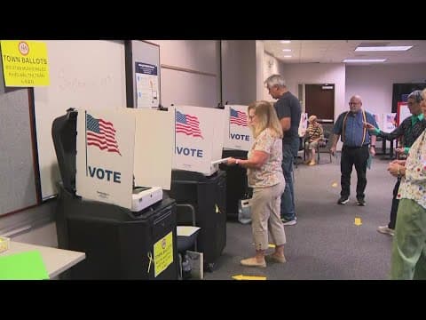 Virginia early voting shows improved turnout