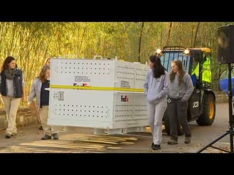 Live now: Giant Pandas depart DC