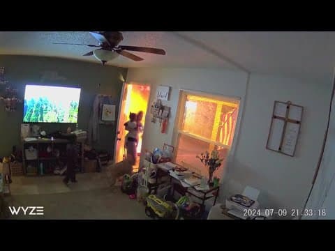 Caught on camera: Babysitter saves kids from fire