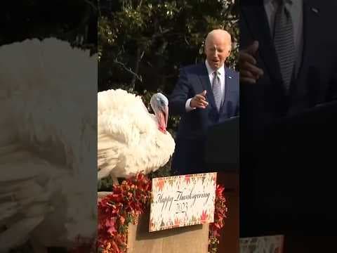 President Joe Biden pardons two turkeys, sparing them from the 2023 Thanksgiving table