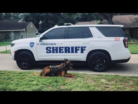 St. Tammany Parish Sheriff's Office searching for suspect in Slidell