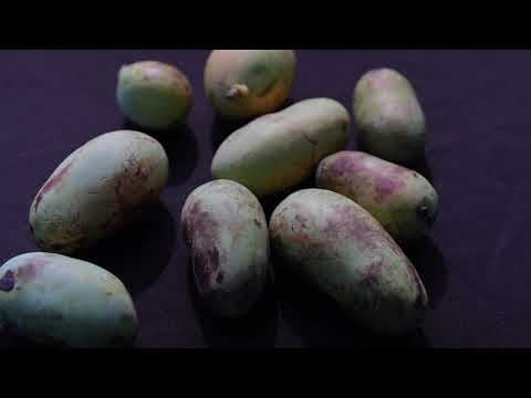 In Ohio, severe drought affects beloved fruit