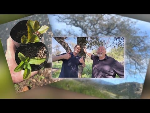 Escondido man collects 2,500 acorns to save Engelmann Oaks | Zevely Zone