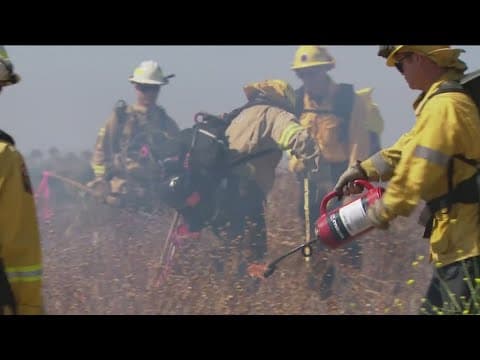 Chula Vista firefighters conduct controlled burn training
