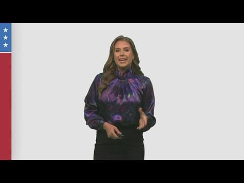 Louisiana Constitutional Amendment #3 - what it means