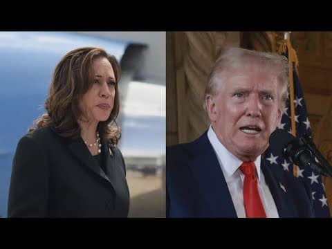 Survey shows the top five priorities for Hispanic voters this election