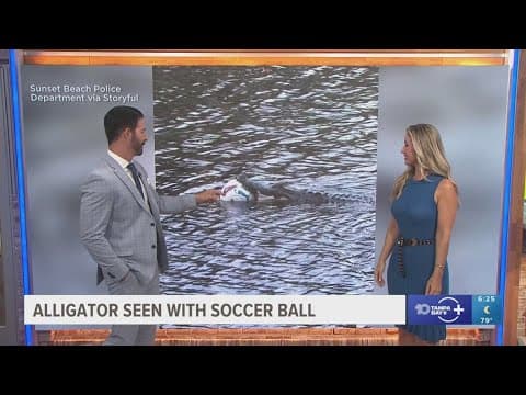 Gator seen with soccer ball in its mouth in North Carolina