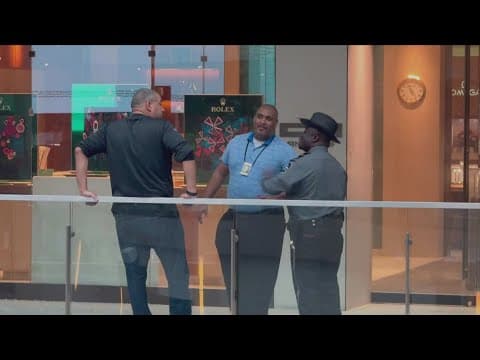 Police search for brazen thieves wanted for Pentagon City Mall smash and grab