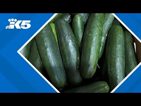 Cucumbers recalled due to salmonella outbreak