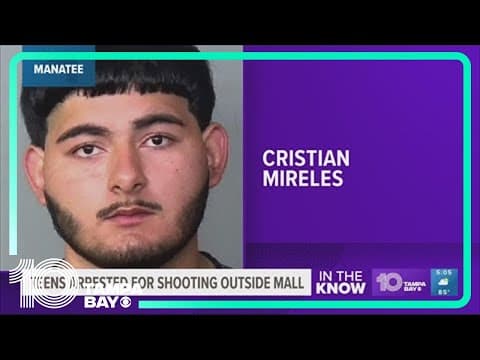 Teens arrested for shooting at car in Ellenton Outlets parking lot, deputies say