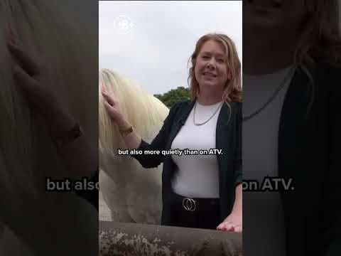 Horse Patrol unit returns to San Diego Sector