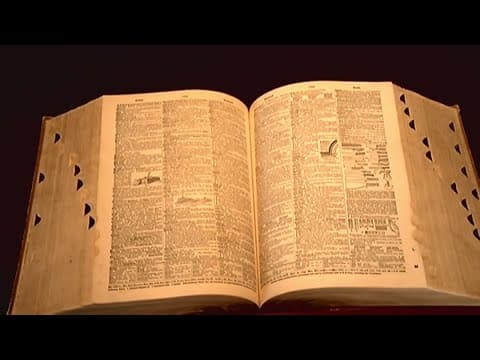 New words in the dictionary