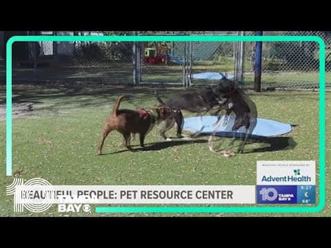 A flood of animals put Hillsborough's Pet Resource Center over capacity after hurricanes