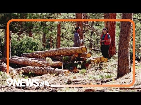 Nonprofit continues private land fire mitigation projects despite government shutdown