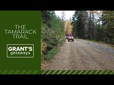 Oregon’s Elkhorn Mountains offer a view of color-changing tamarack trees
