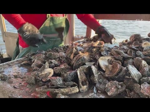 Super Bowl oyster event proceeds despite partial recall