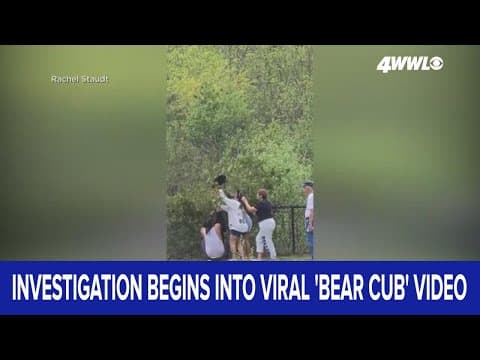 Investigation begins into viral 'bear cub' incident