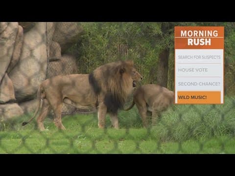 Fort Worth Zoo to participate in family Cliburn concert series