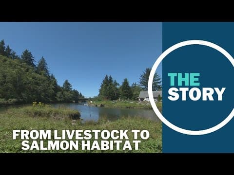 Salmon habitat restoration on the Oregon Coast expected to benefit from Inflation Reduction Act