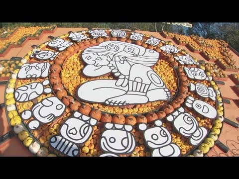 Celebrating fall at Sever's in the south metro