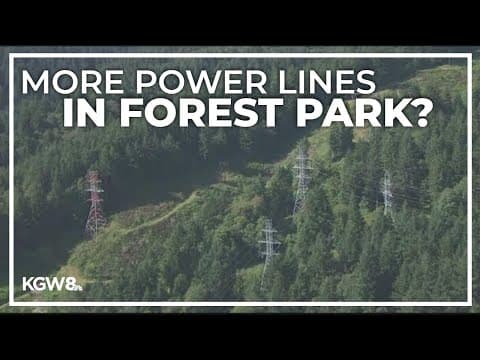 PGE weighs cutting down trees in Forest Park for more power lines