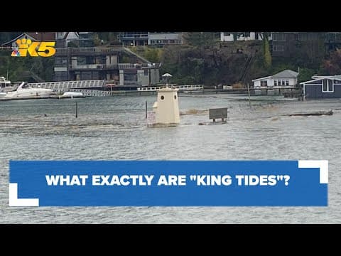 What are king tides?
