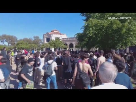 Videos show violence, stealing on International Go Skateboarding Day