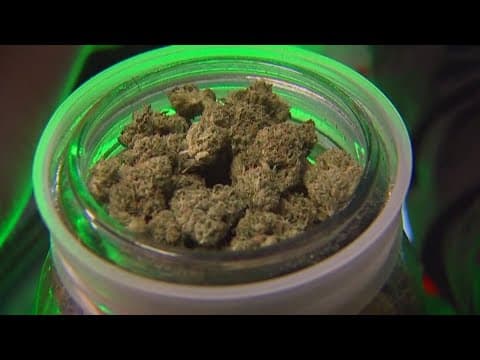 US Justice Department moving to reclassify marijuana as a less dangerous drug