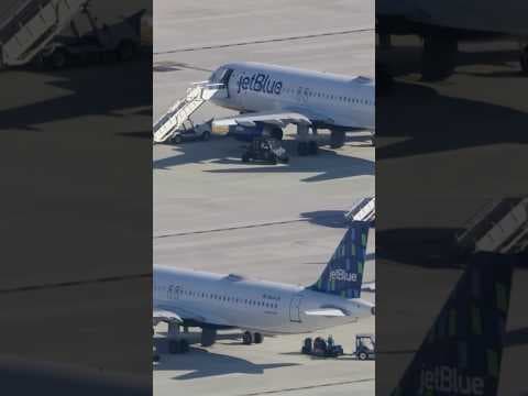 Bodies of Teens Found in Landing Gear of Plane