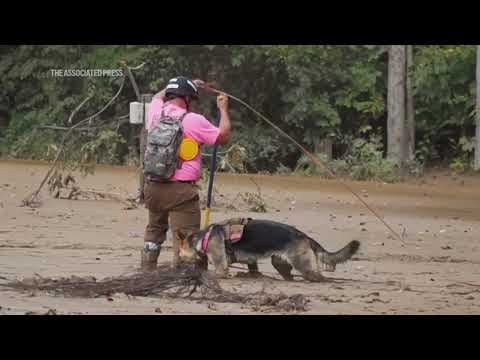 Helene and Milton are both likely to be $50 billion disasters, joining ranks of most costly storms